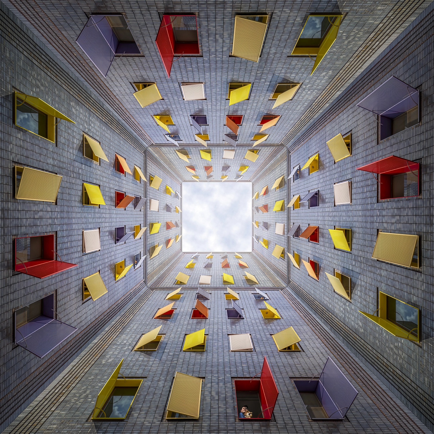 ABSTRACT photography by Paul Brouns