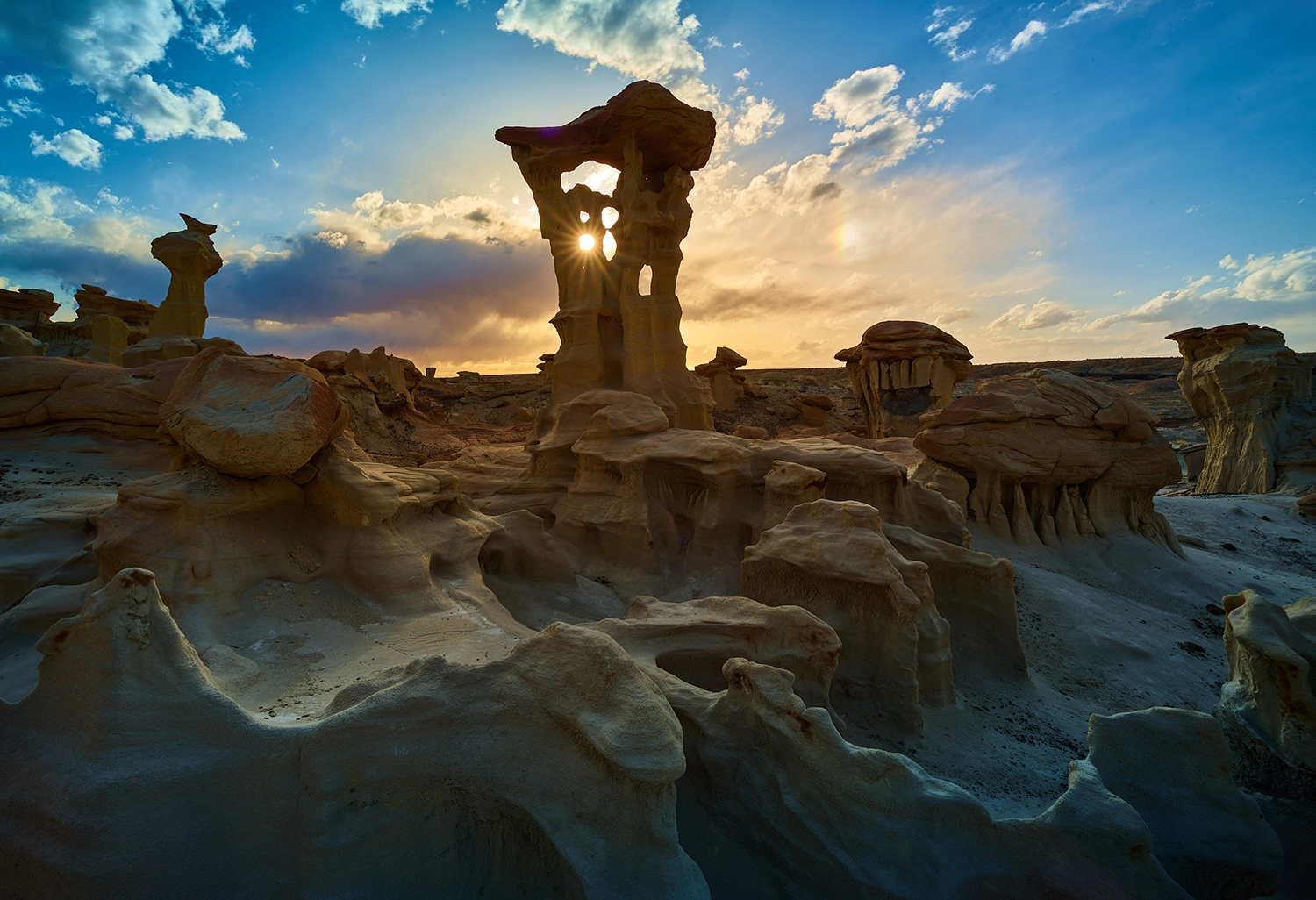 NATURE photography by Gianluca Federighi