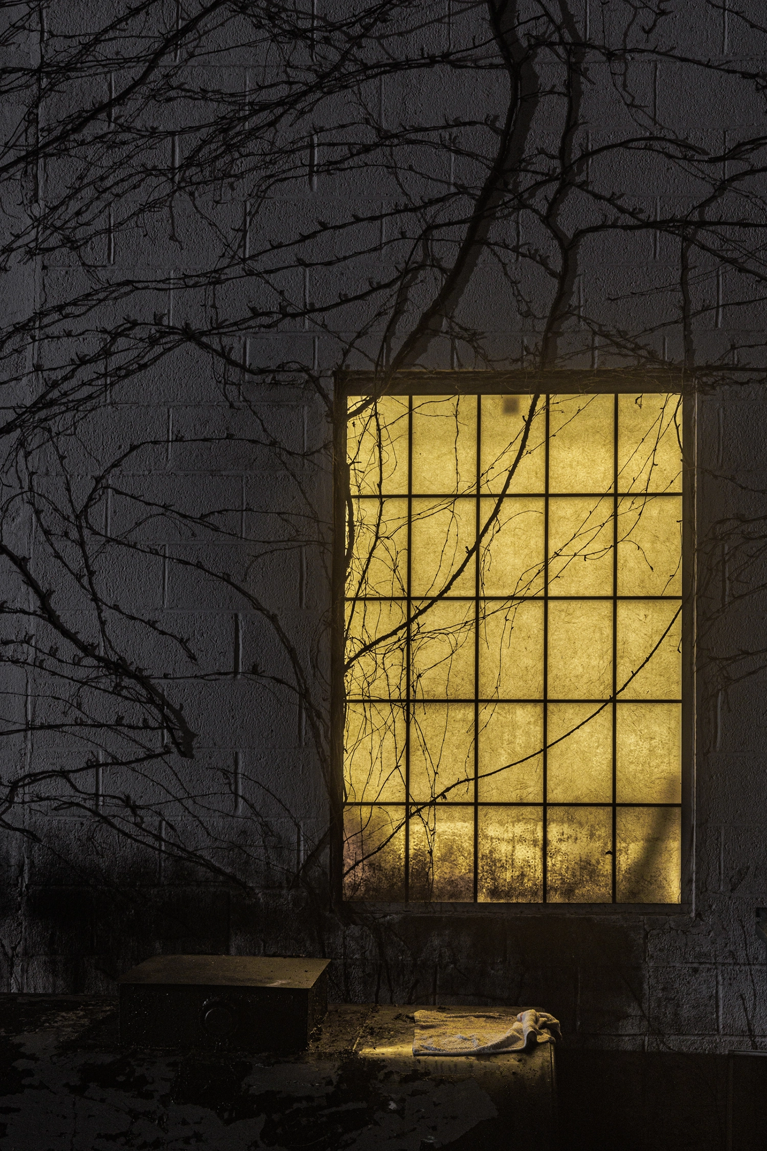SILHOUETTE photography by Danielle Austen