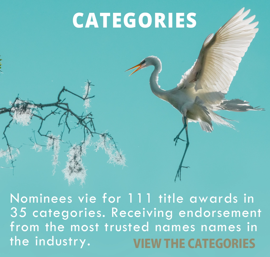 International Color Awards categories