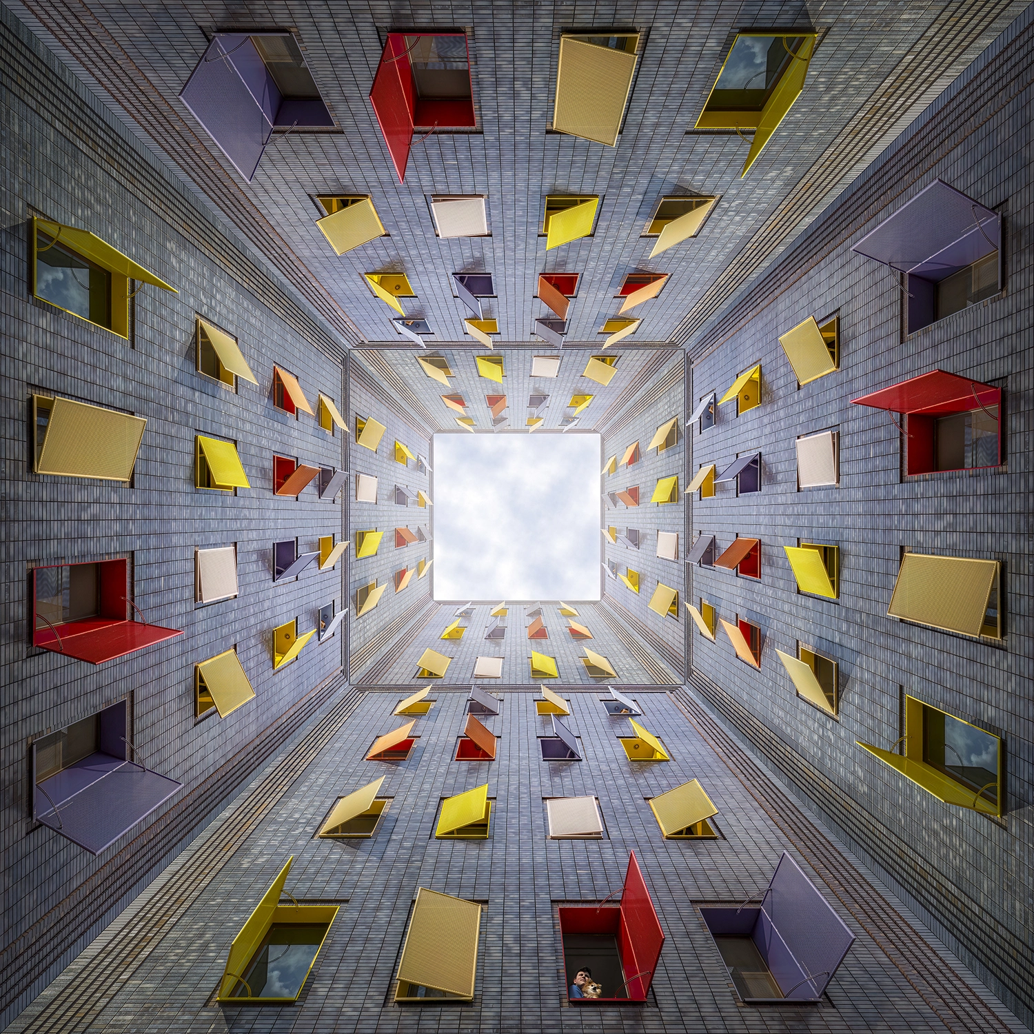 International Color Awards entry